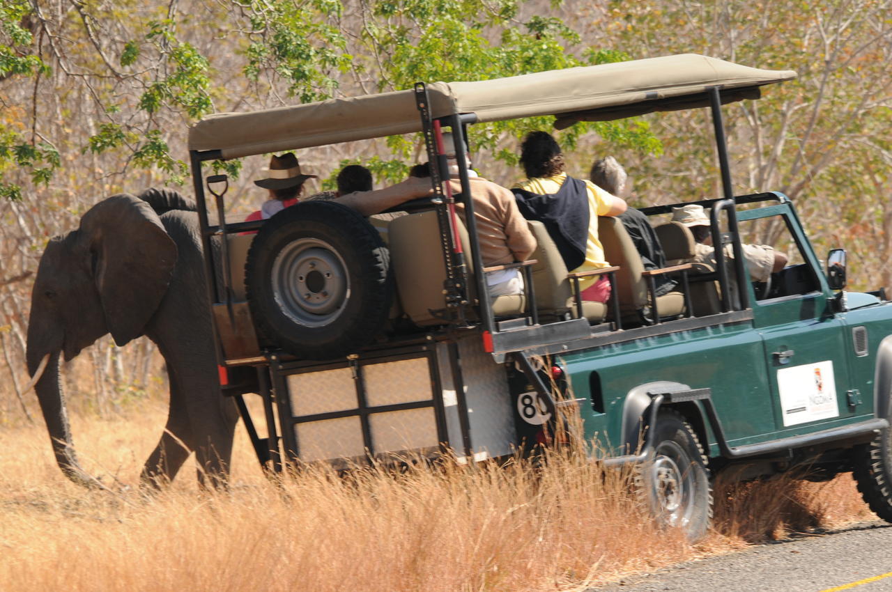 Kavimba Ngoma Safari Lodge المظهر الخارجي الصورة