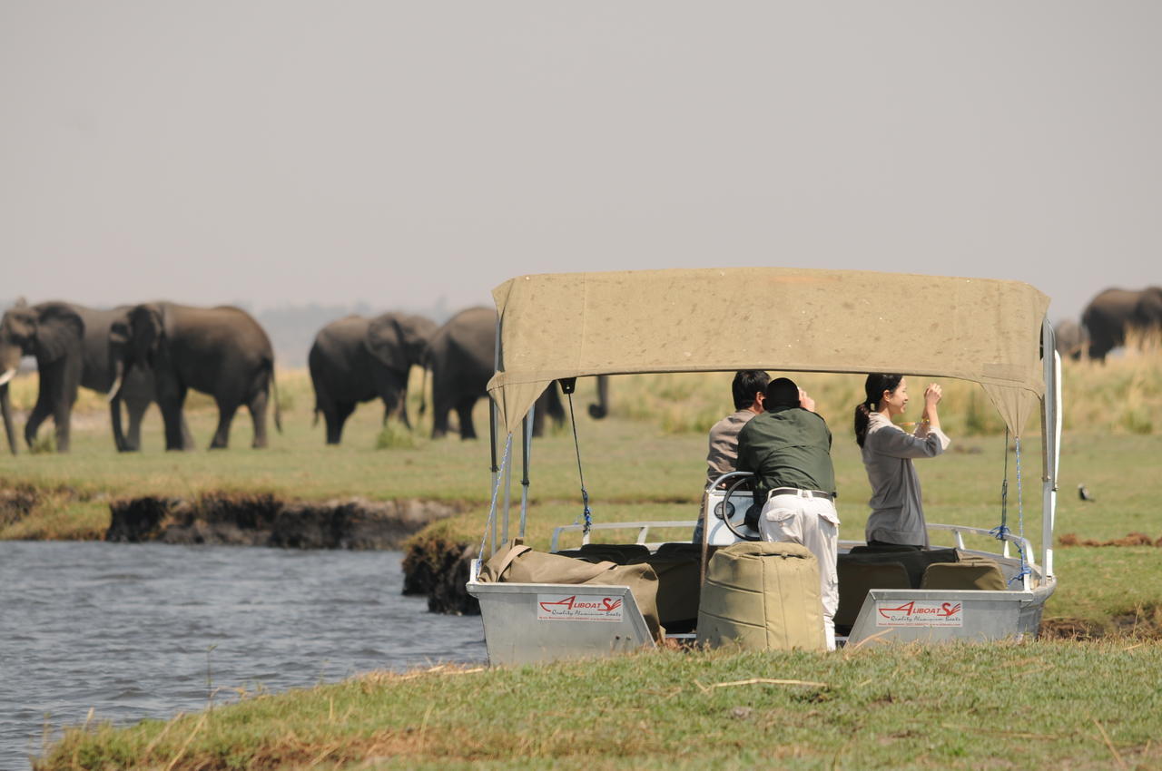 Kavimba Ngoma Safari Lodge المظهر الخارجي الصورة