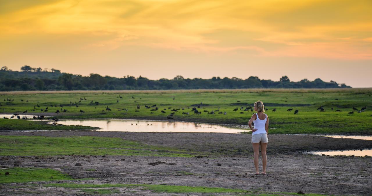 Kavimba Ngoma Safari Lodge المظهر الخارجي الصورة