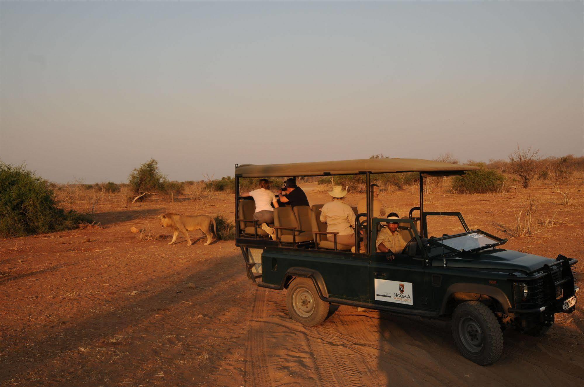 Kavimba Ngoma Safari Lodge المظهر الخارجي الصورة