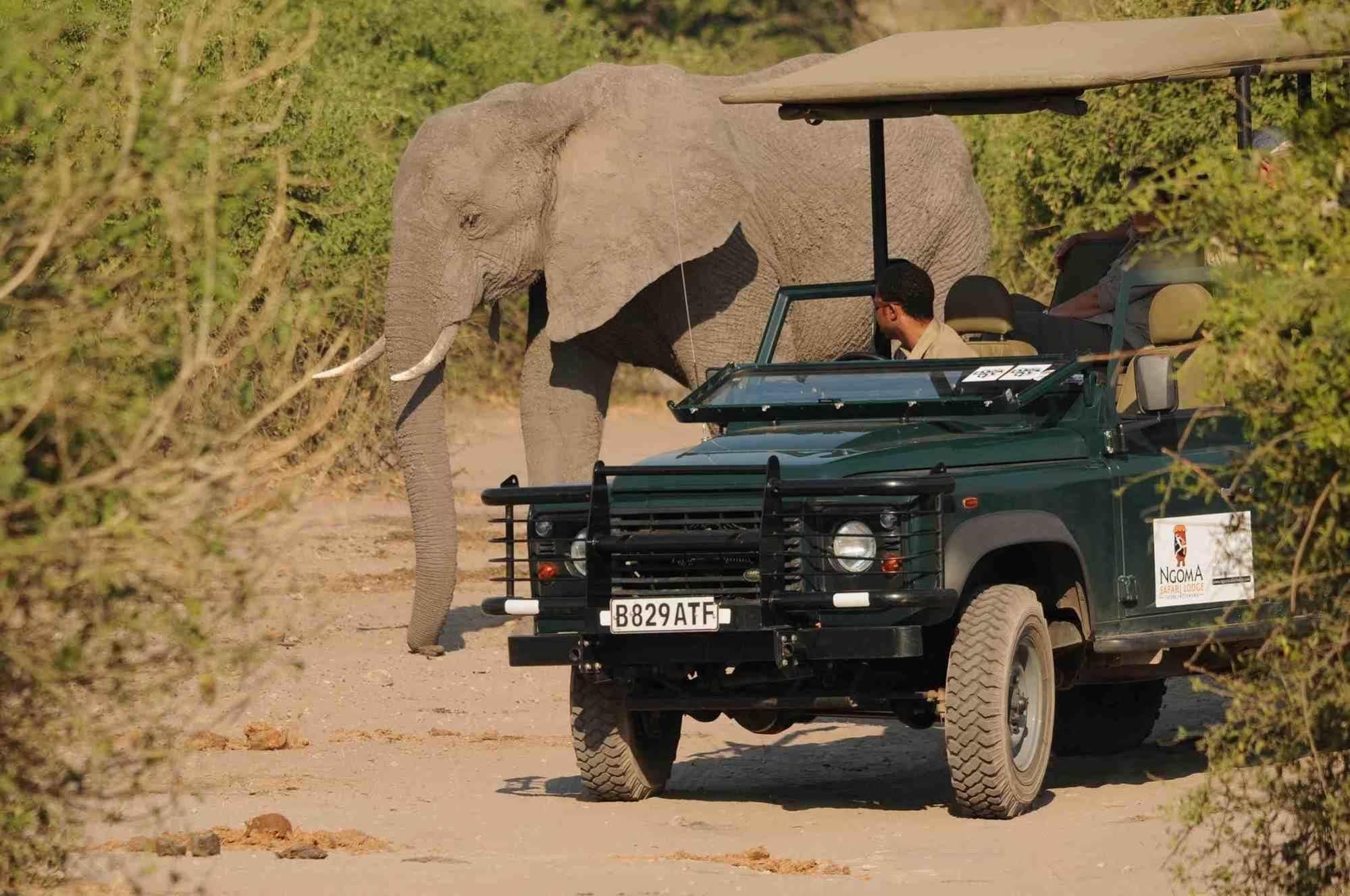 Kavimba Ngoma Safari Lodge المظهر الخارجي الصورة